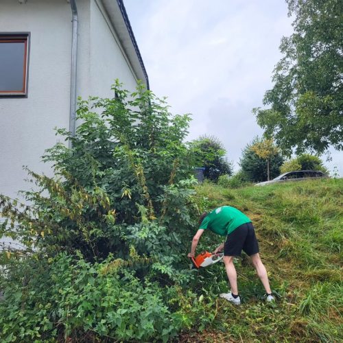 Gruenschnitt-im-Mindlestal-✅Rund-um-unsere-Sportanlage-wurde-heute-im-Mindlestal-wieder-ein-gross-13 Gruenschnitt-im-Mindlestal-✅Rund-um-unsere-Sportanlage-wurde-heute-im-Mindlestal-wieder-ein-gross-13