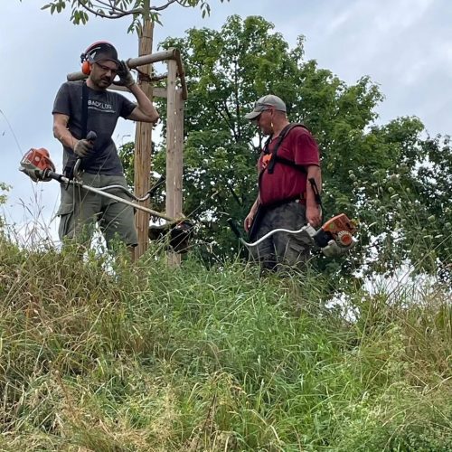 Gruenschnitt-im-Mindlestal-✅Rund-um-unsere-Sportanlage-wurde-heute-im-Mindlestal-wieder-ein-gross-2 Gruenschnitt-im-Mindlestal-✅Rund-um-unsere-Sportanlage-wurde-heute-im-Mindlestal-wieder-ein-gross-2